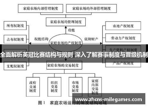 全面解析英冠比赛结构与规则 深入了解赛事制度与晋级机制